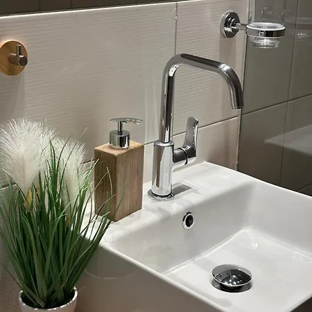 Helena Apartment Bad Goisern