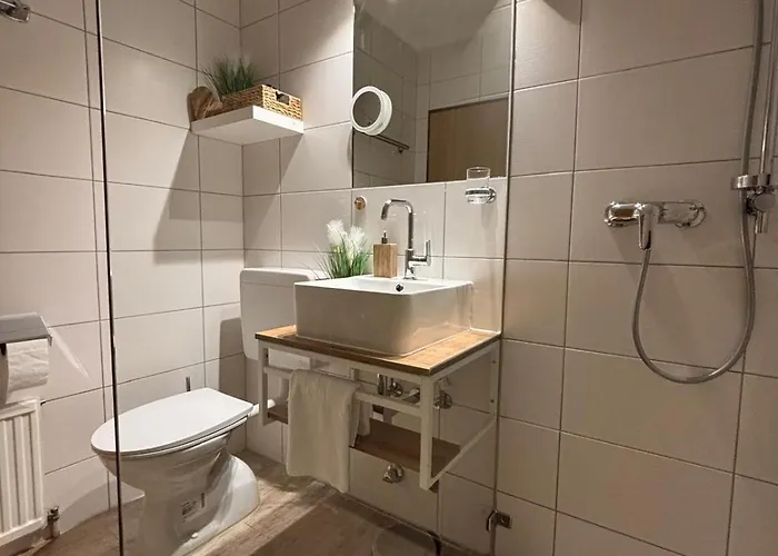 公寓 Helena 巴德哥依斯恩